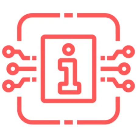 IT & PROFESSIONAL SERVICES